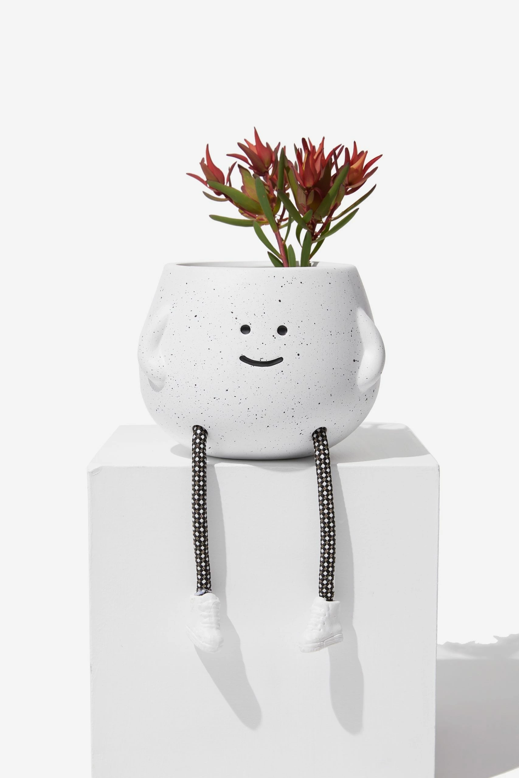 Typo Midi Shaped Planter 4 Typo Midi Shaped Planter - Image 2