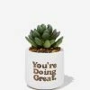 Typo Tiny Planter With Plant -Typo Store 1684113 29 2