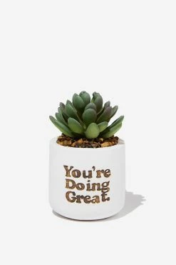 Typo Tiny Planter With Plant
