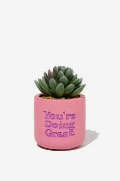 Typo Tiny Planter With Plant