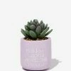 Typo Tiny Planter With Plant 1 Typo Tiny Planter With Plant -Typo Store 1684113 31 2