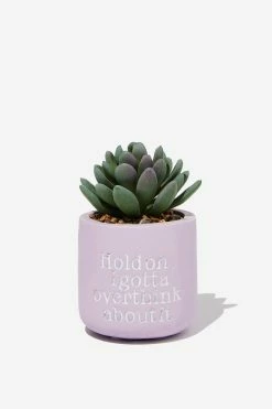 Typo Tiny Planter With Plant