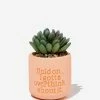 Typo Tiny Planter With Plant -Typo Store 1684113 32 2