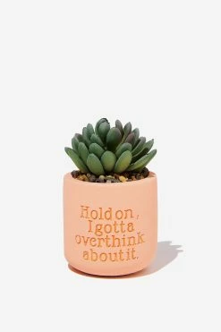 Typo Tiny Planter With Plant