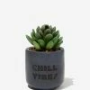 Typo Tiny Planter With Plant 1 Typo Tiny Planter With Plant -Typo Store 1684113 33 2