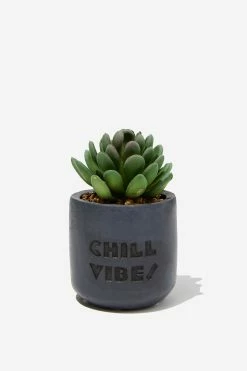 Typo Tiny Planter With Plant