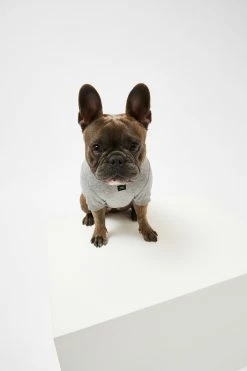 Alternative view of Typo Pet Club Dog Tee