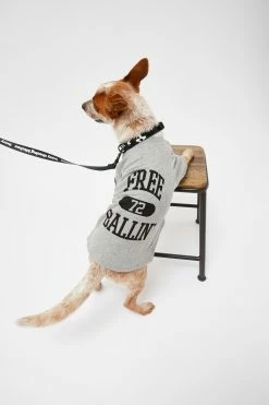 Typo Pet Club Dog Tee