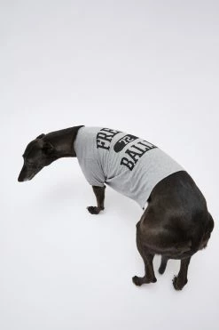 Typo Pet Club Dog Tee -Typo Store 1684595 08 3